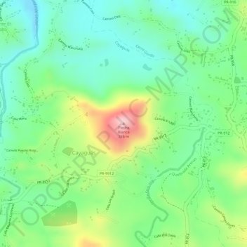 Mappa topografica Piedra Blanca, altitudine, rilievo