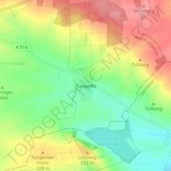 Mappa topografica Tüngeda, altitudine, rilievo