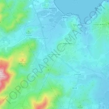 Mappa topografica Monte Petrosu, altitudine, rilievo