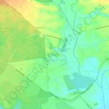 Mappa topografica Spinacceto, altitudine, rilievo
