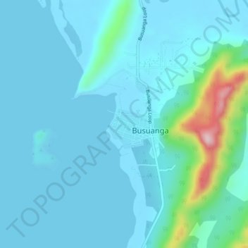 Mappa topografica Salvacion, altitudine, rilievo