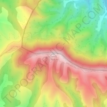 Mappa topografica Selva, altitudine, rilievo