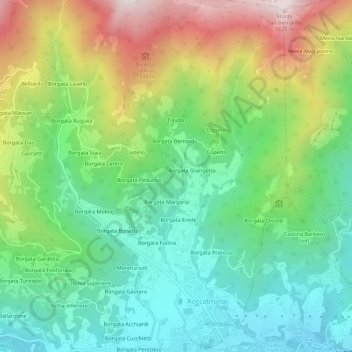 Mappa topografica Borgata Cesani, altitudine, rilievo