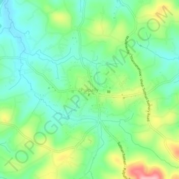 Mappa topografica Pulpally, altitudine, rilievo