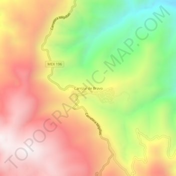 Mappa topografica Carrizal de Bravo, altitudine, rilievo