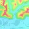 Mappa topografica Seleuș, altitudine, rilievo