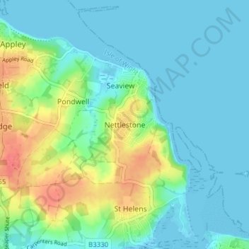 Mappa topografica Nettlestone, altitudine, rilievo