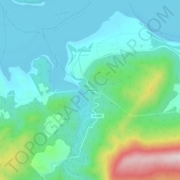 Mappa topografica Ruesta, altitudine, rilievo