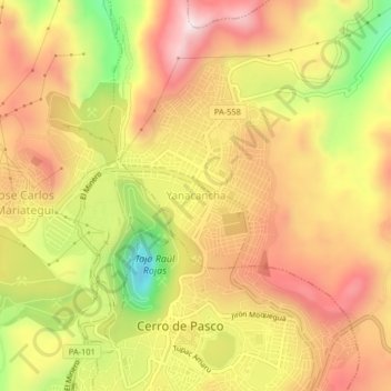 Mappa topografica Yanacancha, altitudine, rilievo