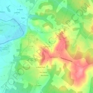 Mappa topografica Champion, altitudine, rilievo