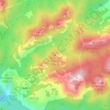 Mappa topografica Cerro del Muerto, altitudine, rilievo