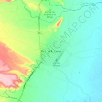 Mappa topografica Paz de Ariporo, altitudine, rilievo