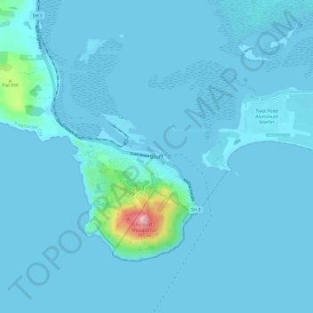 Mappa topografica Bluff, altitudine, rilievo