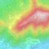 Mappa topografica Selvapiana, altitudine, rilievo