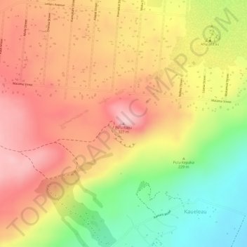 Mappa topografica Puʻu Kaliu, altitudine, rilievo