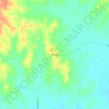 Mappa topografica Elbridge, altitudine, rilievo