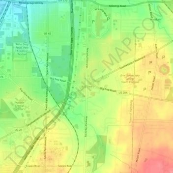 Mappa topografica Big Tree, altitudine, rilievo