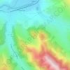 Mappa topografica Pojorâta, altitudine, rilievo