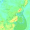 Mappa topografica Quistococha, altitudine, rilievo