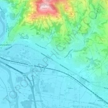 Mappa topografica Testona, altitudine, rilievo