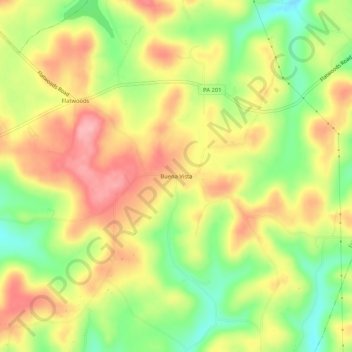 Mappa topografica Buena Vista, altitudine, rilievo