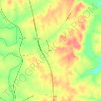 Mappa topografica Salvisa, altitudine, rilievo