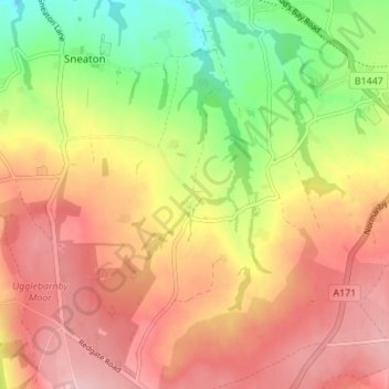 Mappa topografica Sneaton Thorpe, altitudine, rilievo