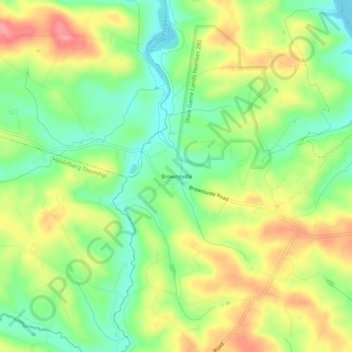 Mappa topografica Brownsville, altitudine, rilievo