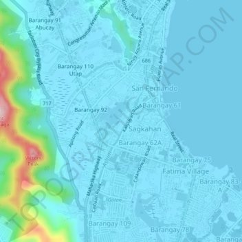Mappa topografica Barangay 59, altitudine, rilievo