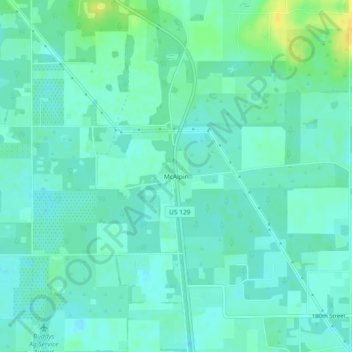 Mappa topografica McAlpin, altitudine, rilievo