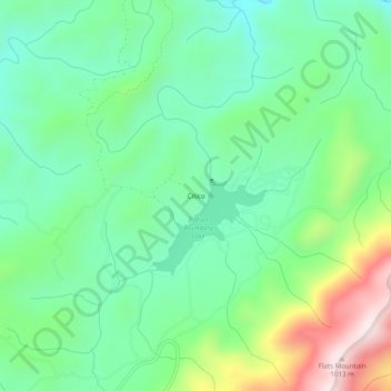 Mappa topografica Citico, altitudine, rilievo