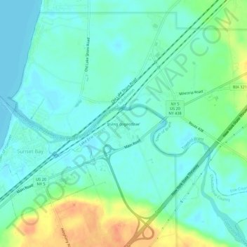 Mappa topografica Irving, altitudine, rilievo