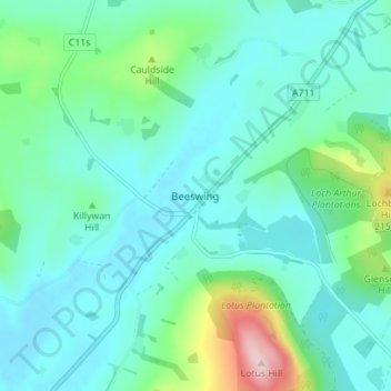 Mappa topografica Beeswing, altitudine, rilievo