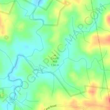 Mappa topografica Laurel Hill, altitudine, rilievo