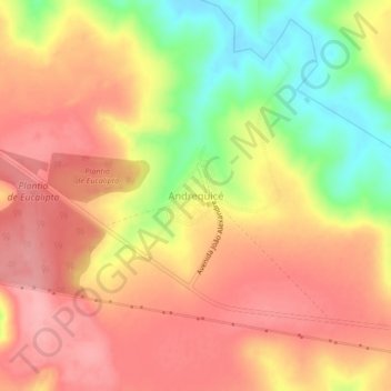 Mappa topografica Andrequicé, altitudine, rilievo