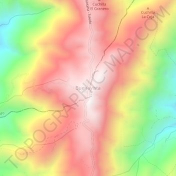 Mappa topografica Buenavista, altitudine, rilievo