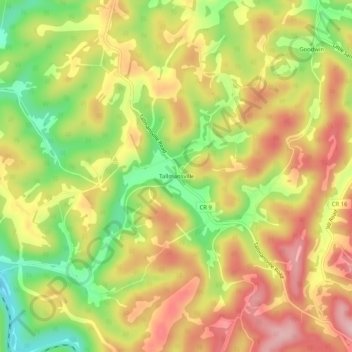 Mappa topografica Tallmansville, altitudine, rilievo