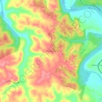 Mappa topografica Witt Springs, altitudine, rilievo