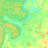 Mappa topografica Envira, altitudine, rilievo