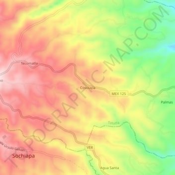 Mappa topografica Cosolapa, altitudine, rilievo