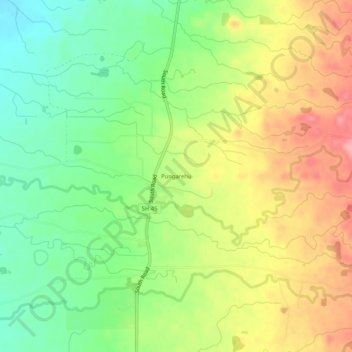 Mappa topografica Pungarehu, altitudine, rilievo