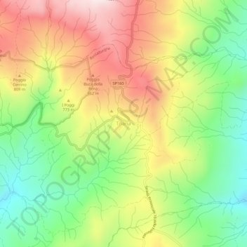 Mappa topografica Triana, altitudine, rilievo