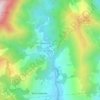 Mappa topografica I Palanchi, altitudine, rilievo
