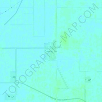 Mappa topografica Sawantsar, altitudine, rilievo