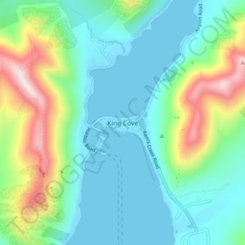 Mappa topografica King Cove, altitudine, rilievo