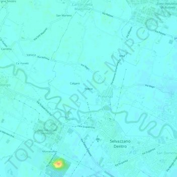 Mappa topografica Polese, altitudine, rilievo