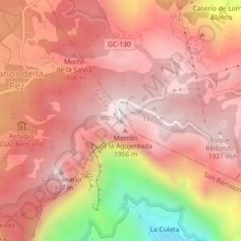 Mappa topografica Pico de las Nieves, altitudine, rilievo