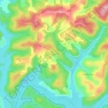 Mappa topografica Flat Hollow, altitudine, rilievo