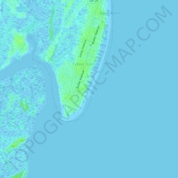 Mappa topografica Savannah Beach, altitudine, rilievo