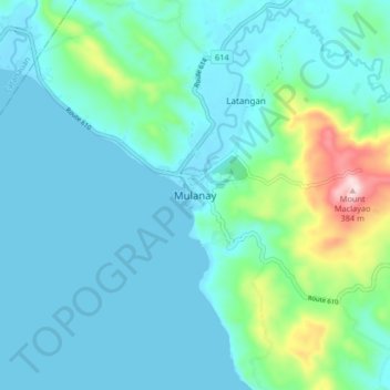 Mappa topografica Mulanay, altitudine, rilievo